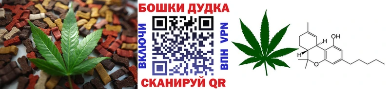 дарнет шоп  Усть-Илимск  Canna-Cookies конопля 