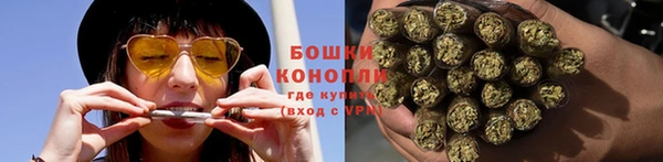 прущие грибы Туринск