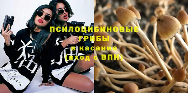 кокс Аркадак