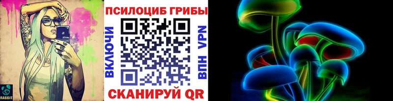 Галлюциногенные грибы Cubensis  площадка какой сайт  Усть-Илимск 